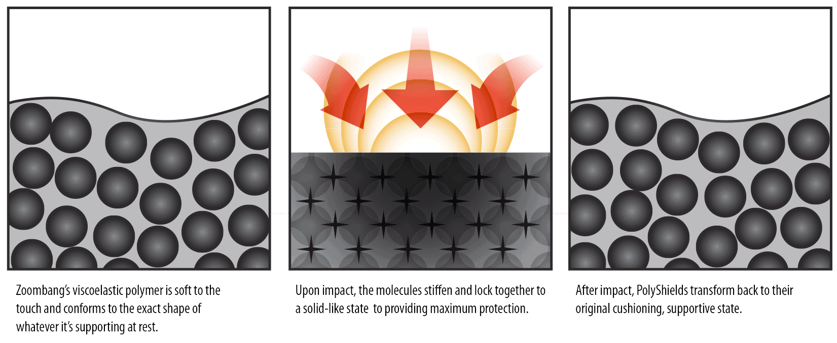 the-science-graphic2c